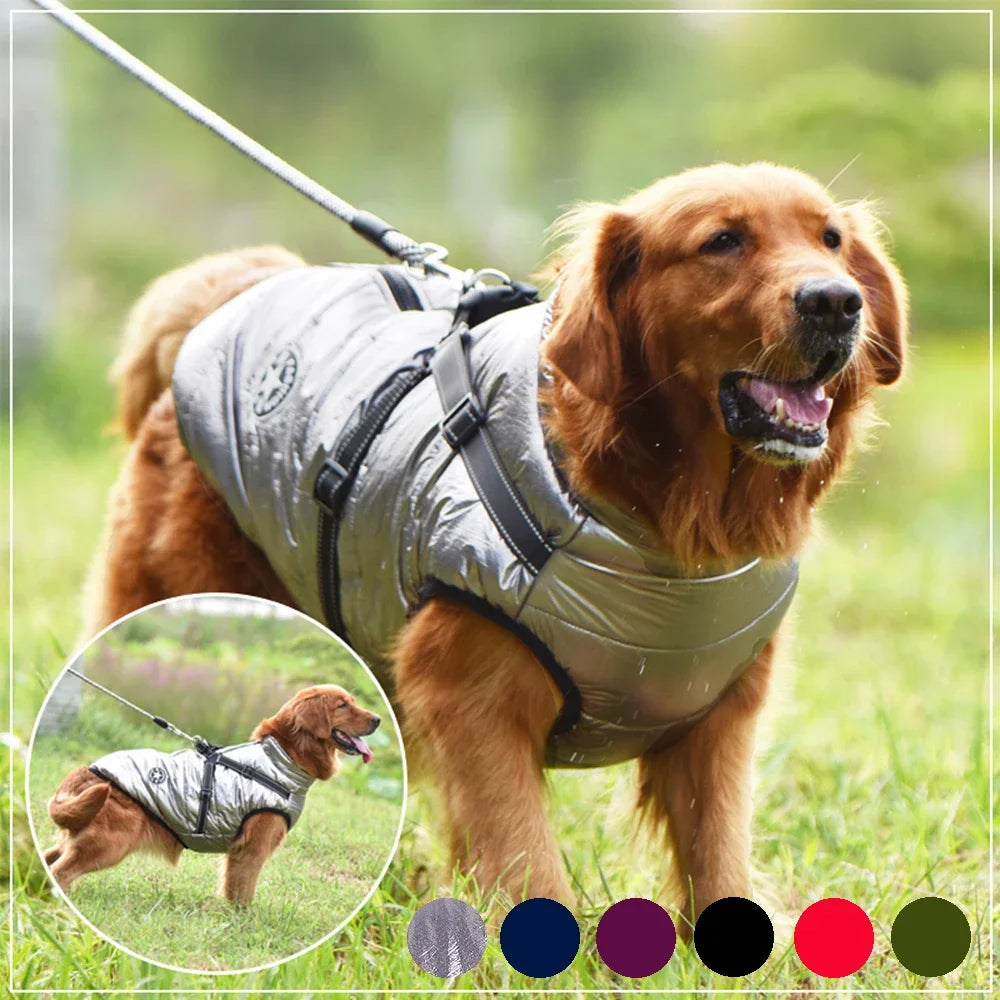 Cozy Cotton Dog Jacket