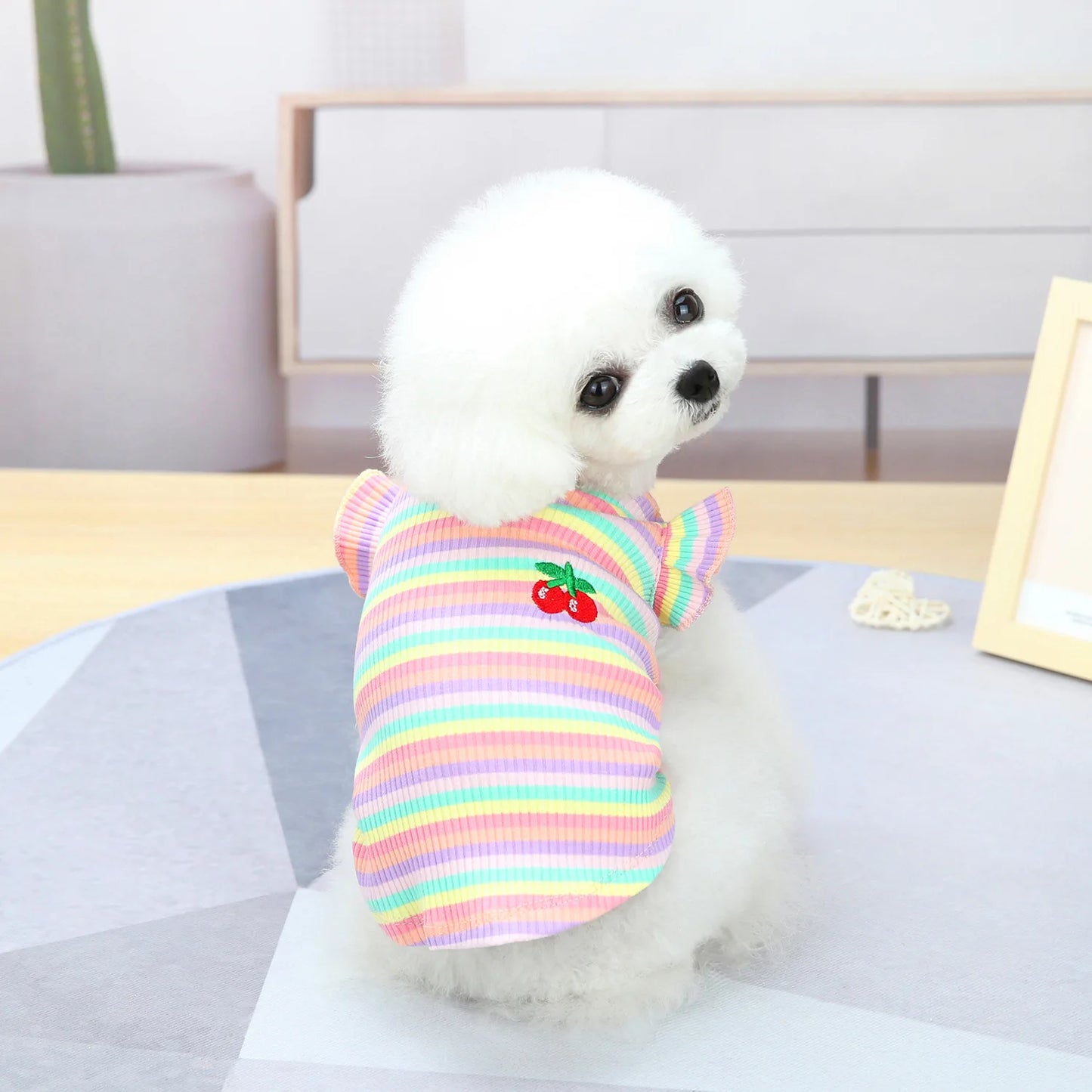 Hot Sale High-Quality Cat Clothing Dress & Puppy Coat
