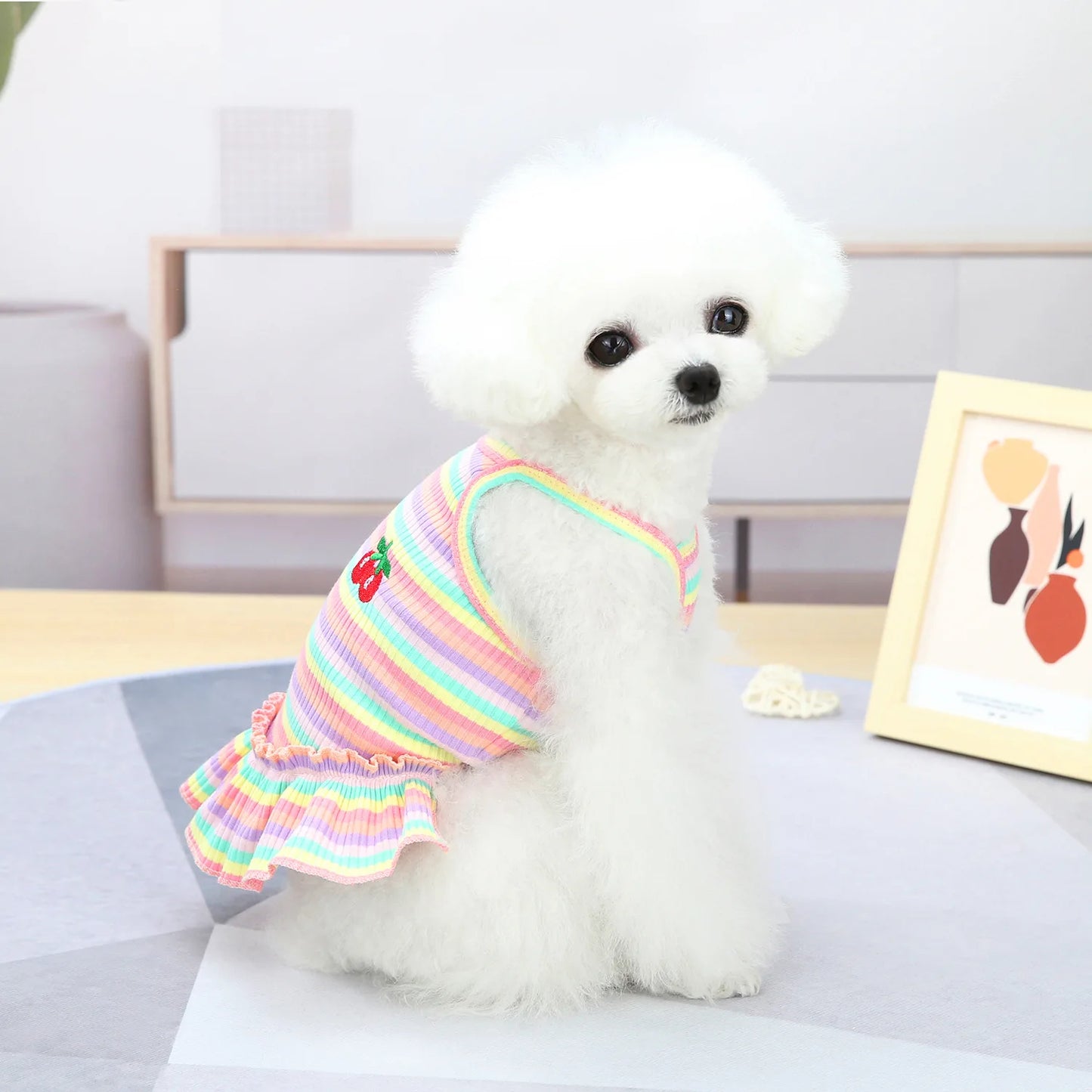Hot Sale High-Quality Cat Clothing Dress & Puppy Coat
