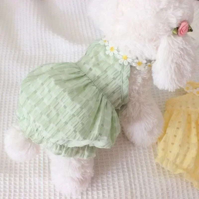 Daisy Dress Pet Clothing for Dogs