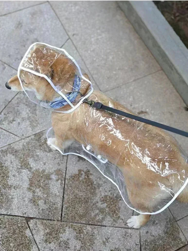 Durable EVA Dog Raincoat