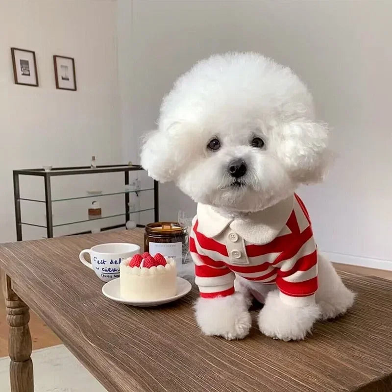 Lightweight Striped Pet Outfit